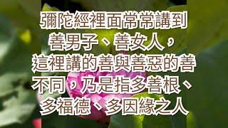 一日至七日能成就的法門  正意法師 清泰精舍  2020.11.14  阿彌陀佛