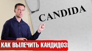 Кандида: ошибки в лечении. Как избавиться от кандиды.