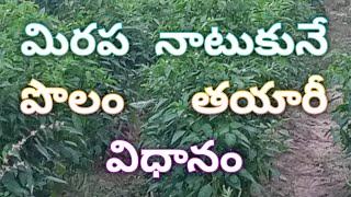 How to prepare mainland for Mirchi cultivation #chillicultivation #chilli #trips