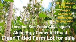 #Vlog266 FARM LOT CLEAN TITLED FOR SALE | Along Brgy Cemented Road in San Pablo City Laguna...