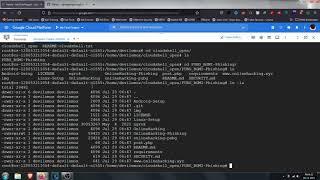 Hacking with Google Cloud Platform | 2021 | Devil Emox