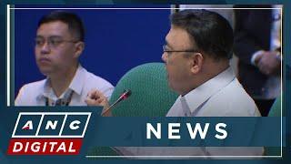 Hontiveros: Roque's alleged POGO involvement subject to intense investigation | ANC