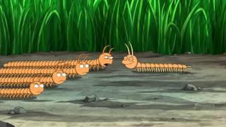 Centipede along millipedes. Family Guy S13E08