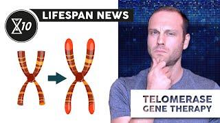 Towards a Telomerase Gene Therapy for Pulmonary Fibrosis | Lifespan News