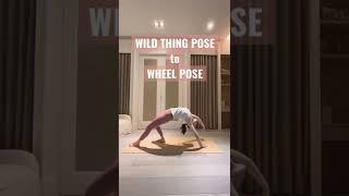 #Wildthingpose #wheelpose #狂野式 #輪式 #yoga
