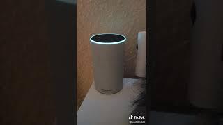 Alexa!!