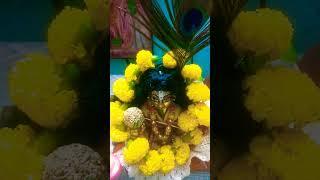 ami tmdar misti gopu sona go.hare krishna ️