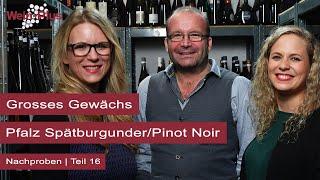 Grosses Gewächs I Nachproben (16) I Pfalz Spätburgunder/Pinot Noir I Wein-Plus