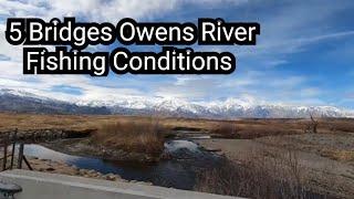 5 Bridges Owens River Bishop California Fishing and Water Conditions