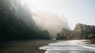 Brookings, Oregon Elopement in the Redwoods | They did a butterfly release!