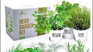 FUN & EASY ORGANIC Herb garden kit for a FARM to TABLE experience for ALL ages!