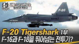 [밀리터리 폭망사] F-20 Tigershark 1부- F-16과 F-18을 뛰어넘는 전투기? #F20#F5#Northrop#샤를세환#이세환