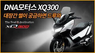 DNA모터스 XQ300 대장간썰이 궁금하면  드루와