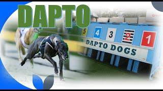 (MEMBERSHIP SAMPLING)  [ DAPTO ] Australian Greyhound Race Analysis