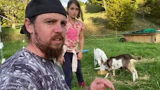 2021 farm tour New Zealand | Feather’ndown homestead vlog