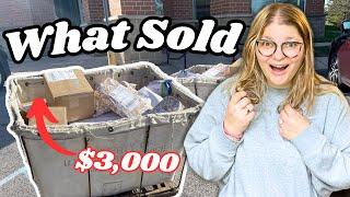 GREAT SALES OVER $50!  What Sold on Poshmark & eBay in November 2024!