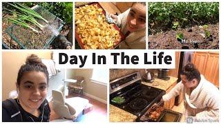 DITL of a full time Dental Hygienist/Homesteader | Cooking a Freezer Meal