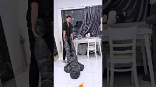 his wife has returned #trinhhyy #couple #love #giaitri #short #dance #shortvideo #comedy