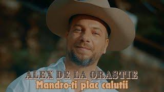 Alex de la Orastie - Mandro-ti plac calutii