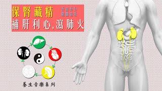 近1小時補腎音樂 五音音樂 水音羽韻  五行能量音樂   風水音樂  Music therapy in Chinese medicine   Chinese Feng Shui Music