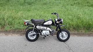 Honda Z50J2, Midnight purple