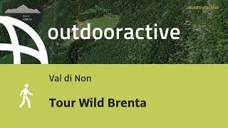 escursioni in Val di Non: Tour Wild Brenta