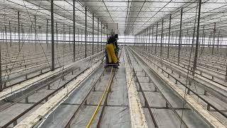 Washing and sanitizer greenhouse gutters