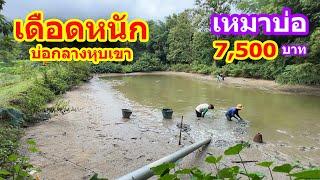 เหมาบ่อ 7,500บาท เดือดหนัก บ่อกลางหุบเขา | Ep.107