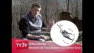 Château du Schoeneck: Reportage de 2013 sur le lammele