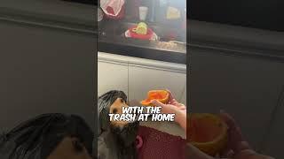Automatic trash can 