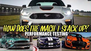 Testing the 2021 Mustang Mach 1 against the Shelby GT350, GT500 and Mustang Bullitt.