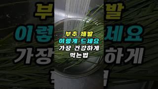 부추 제발 이렇게 드세요! 가장 건강하게 먹는 법 #건강 #건강식