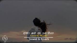 Awa Se A Dura Giya | ආවා සේ ඈ දුර ගියා - COVER @Shavinofficial  | Slowed and Reverb