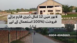 12 kanal ready dairy farm for sale in Lahore | Farmhouse | dairy | real estate | house | investment|