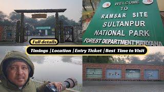 Sultanpur National Park Gurgaon | Sultanpur Bird Sanctuary - Open or Closed Best Time To Visit