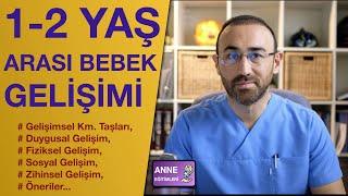 1-2 Yaş Arası Bebeklerde Büyüme (Gelişim Basamakları ve Öneriler)