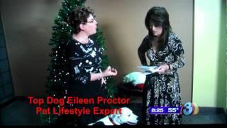 Pet Holiday Safety Tips from Top Dog Eileen Proctor