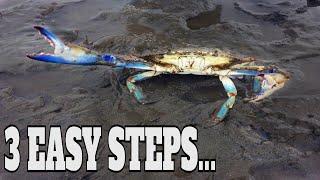 Blue Crab Fishing: How To Catch Blue Crabs From Shore Without A Trap - Catching Blue Crabs | SFSC