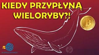 Co dalej? Update na temat RYNKU KRYPTOWALUT, złota, DAX 30, S&P 500 + Suchar na wesoło :)