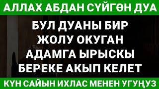 КҮН САЙЫН ИХЛАС МЕНЕН УГУҢУЗ || дубалар, дубалар пайдалуу