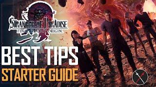 I Wish I Knew This Before Playing - Stranger of Paradise Beginner Guide: Getting Started Tips