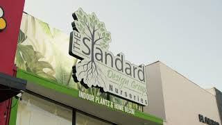 The Standard Design Group - Sherman Oaks Nursery