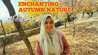 Autumn Forest Walk | Enchanting Autumn Nature | Daily Lifestyle Vlog | My Village | Vlogs New Video