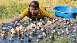 How the beautiful girl caught many mussels in the pond | Live with nature - Phùng Thị Chài