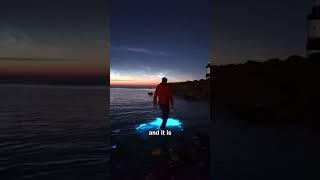 bioluminescence water #viral