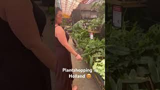 Plant shopping in Holland #houseplants #life #plant #plantcare #plantmom #plants #plantshopping