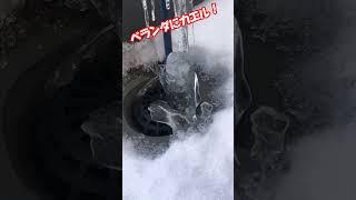 【北海道札幌】ベランダに氷の生物が来なくなったら・・・#shorts