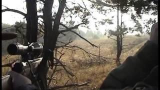 Hunting Deer in Serbia