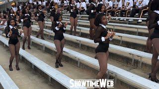 "Whoop That" Alabama State Stingettes