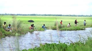 প্রকৃতিতে মাছ ধরার মজাই আলাদা | Fishing in Nature | 2024